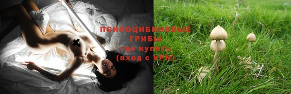 мяу мяу мука Абинск