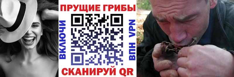 МЕГА   Шилка  Галлюциногенные грибы Psilocybe 
